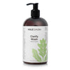 Hale & Hush Professional - Clarify Wash